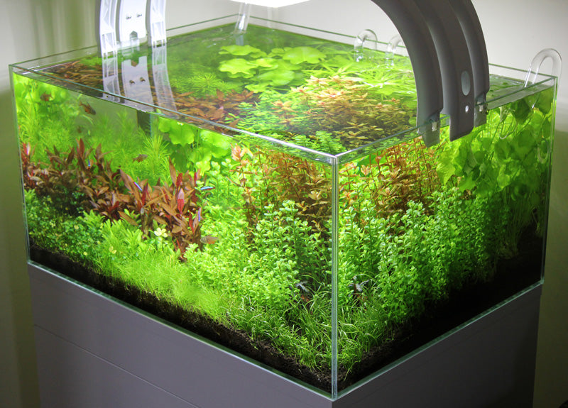 Layout 85 (83 L)