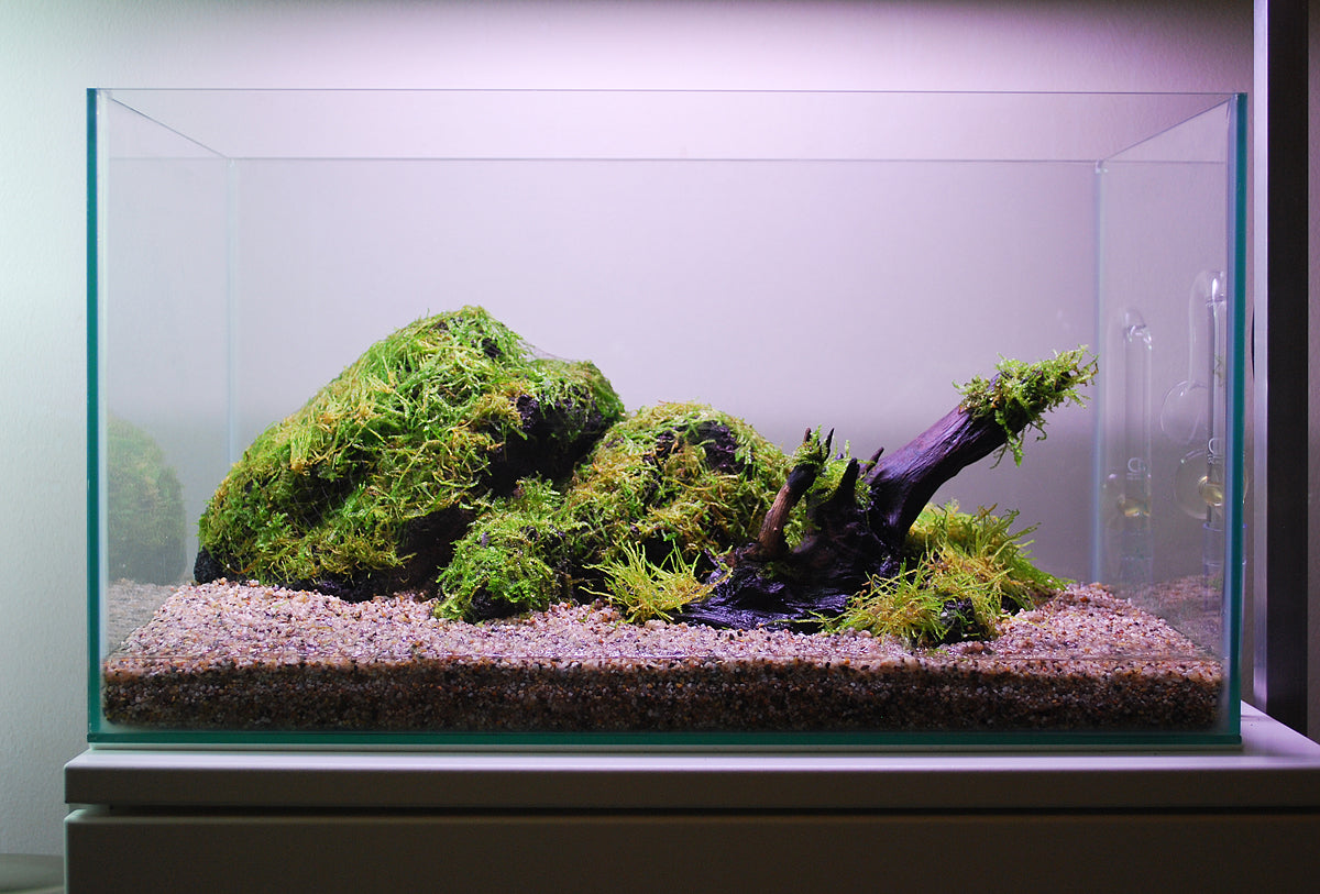 Layout 104 (28 L)