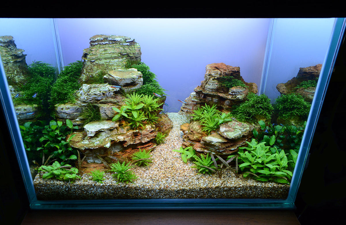 Layout 107 (57 L)