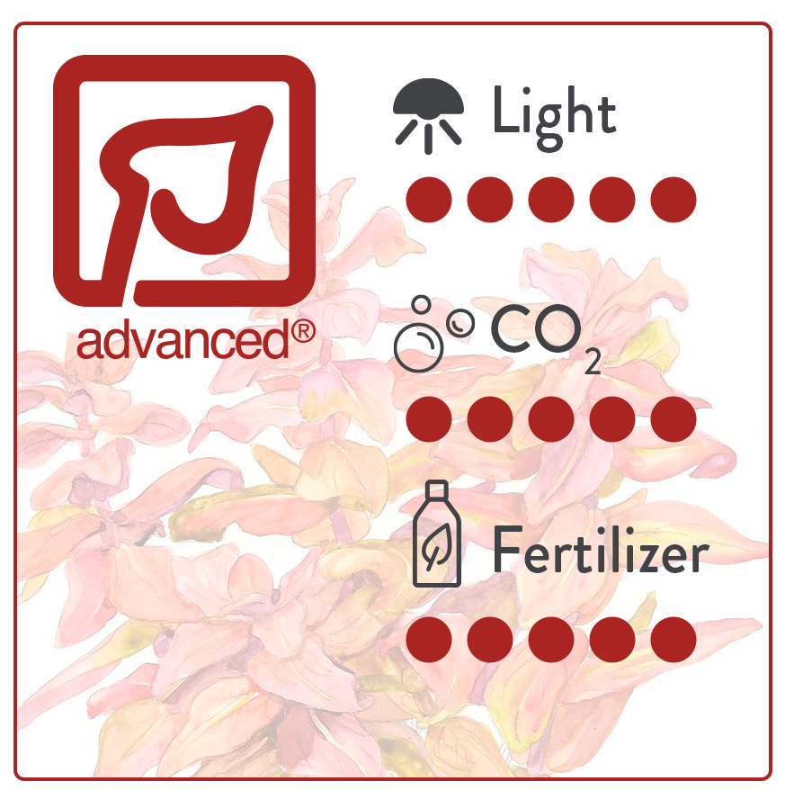 Getting started with 1•2•GROW!