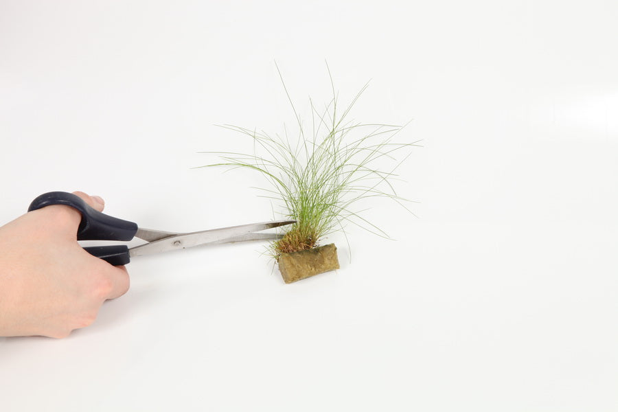 Trimming