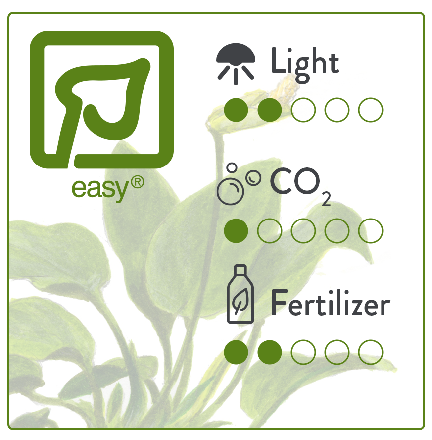 Getting started with 1•2•GROW!