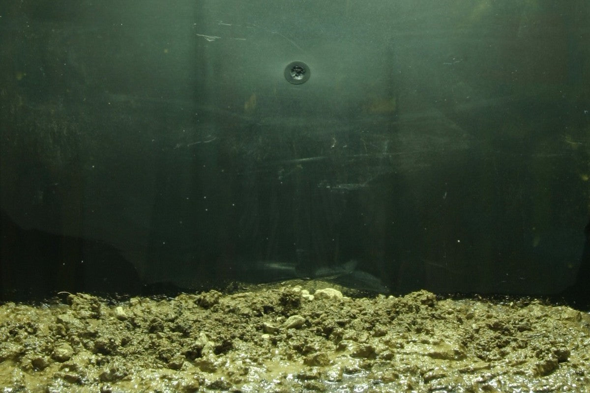 Hardscape et substrat