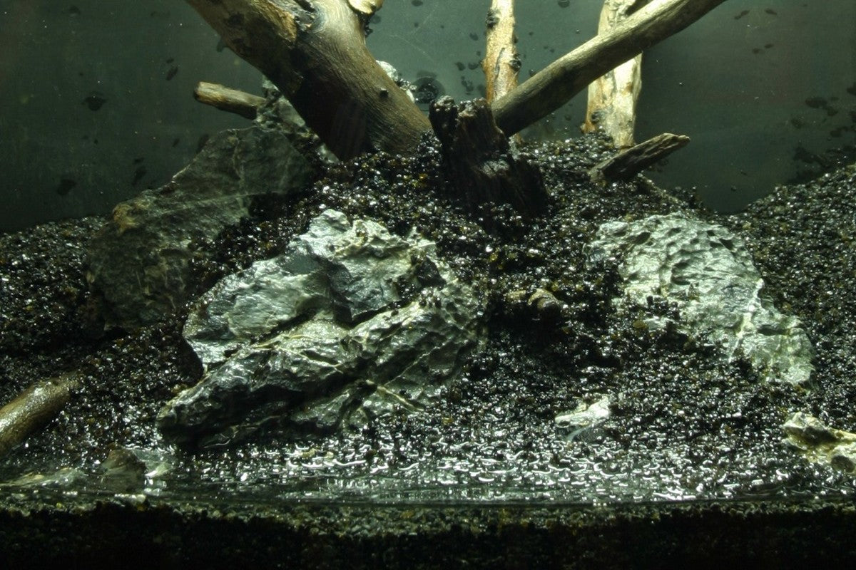 Hardscape et substrat
