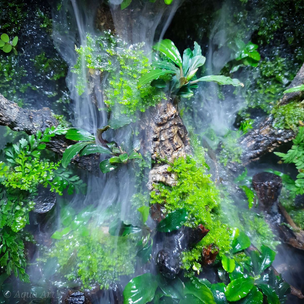 Terra by Tropica: Bring Nature Inside
