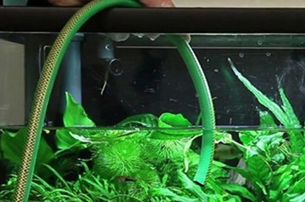 Water circulation