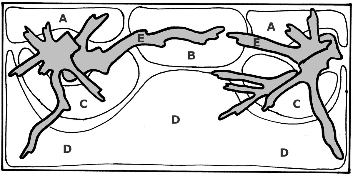 Layout 8 (225 L)