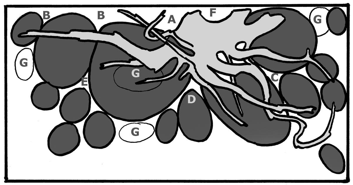Layout 36 (54 L)