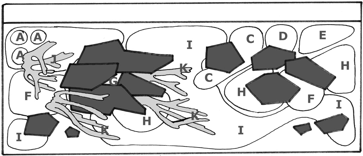 Layout 50 (300 L)