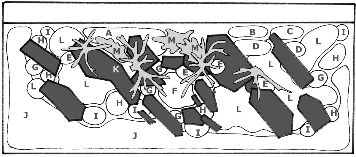 Layout 52 (300 L)