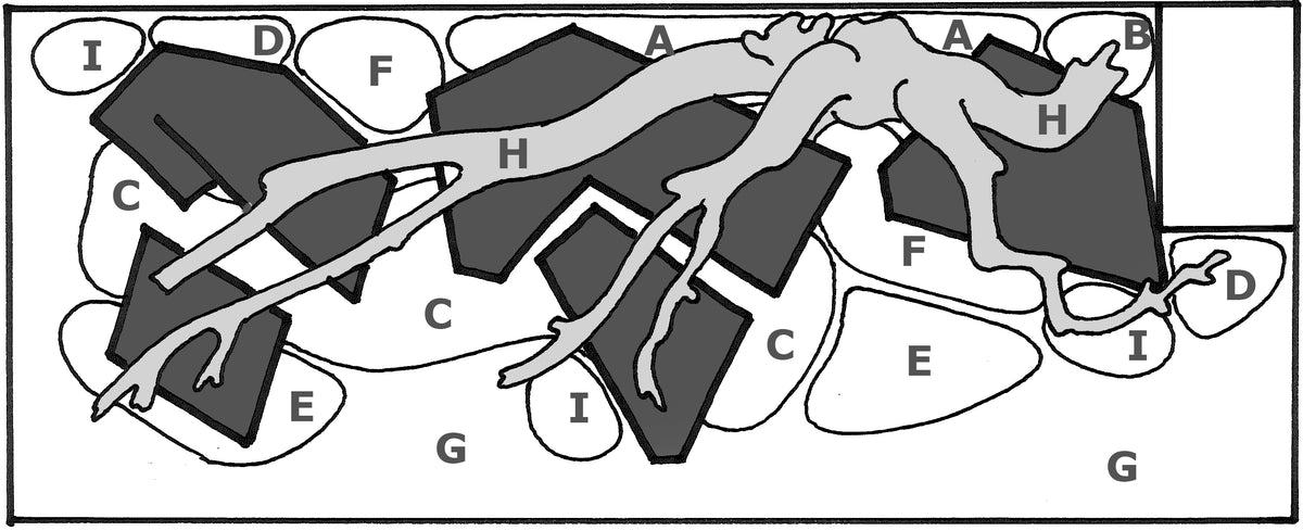 Layout 61 (180 L)