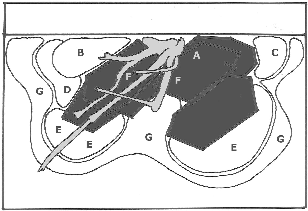 Layout 63 (100 L)
