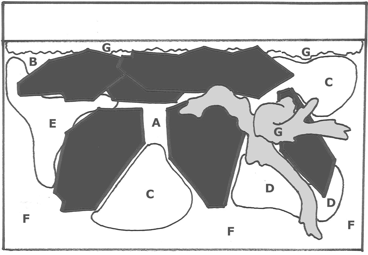 Layout 64 (100 L)