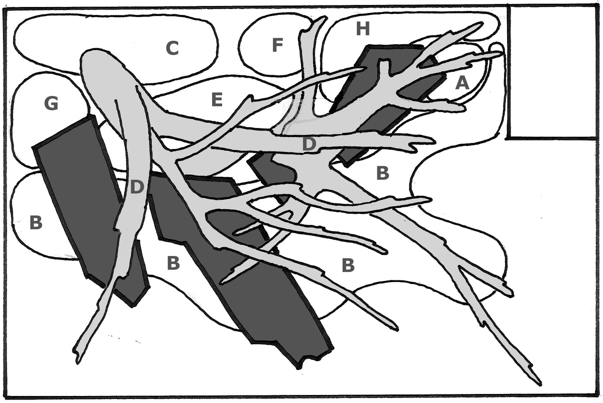 Layout 68 (120 L)