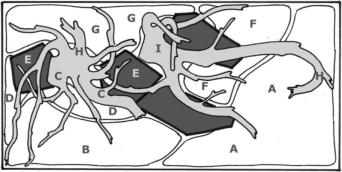 Layout 71 (60 L)