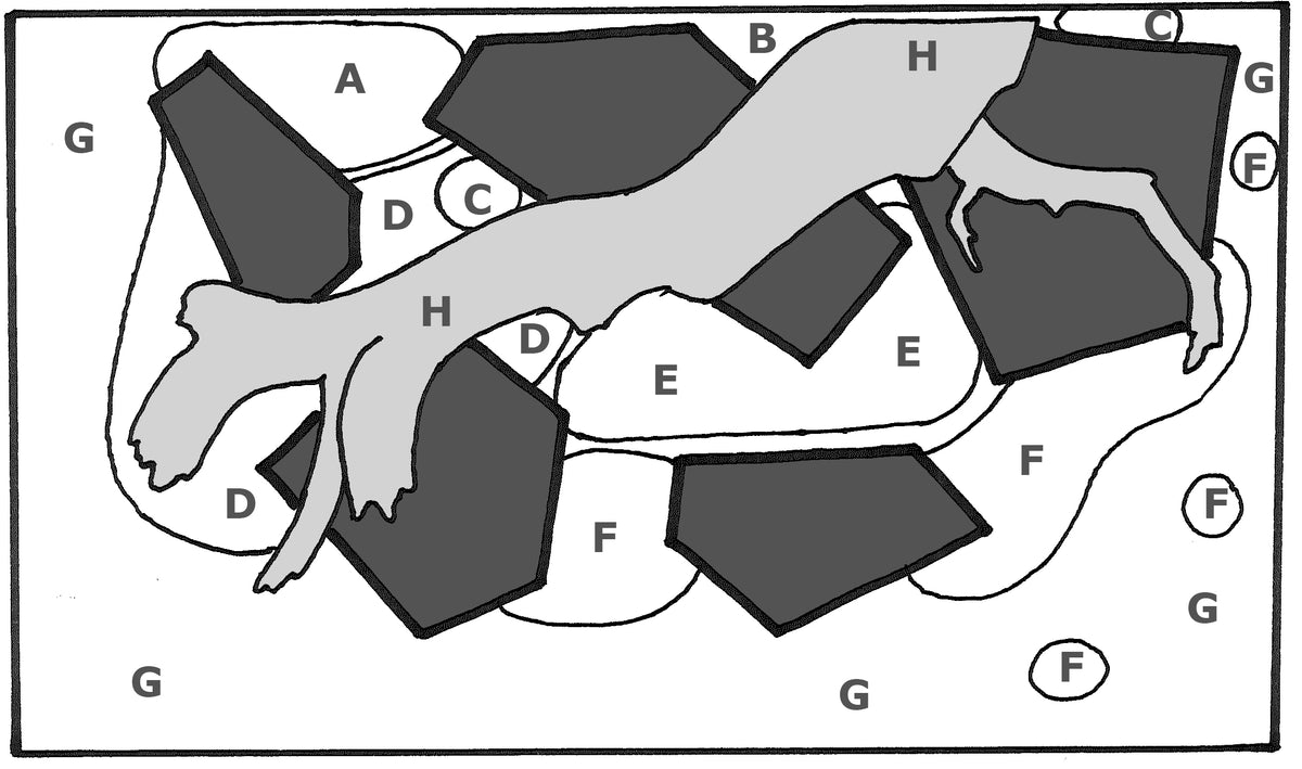 Layout 75 (100 L)