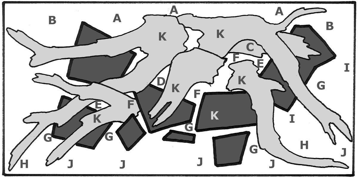 Layout 76 (182 L)