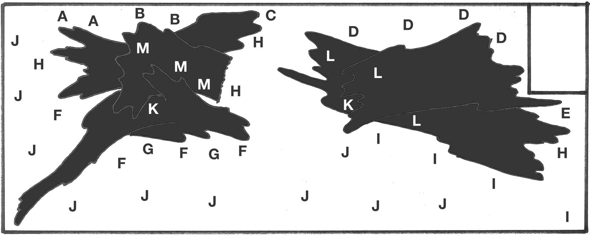 Layout 89 (180 L)