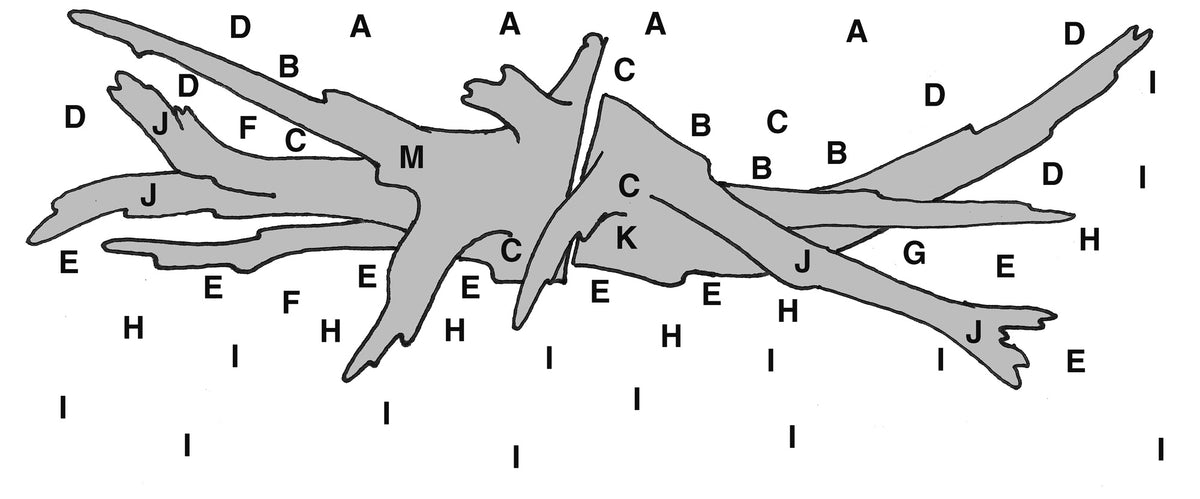 Layout 97 (300 L)