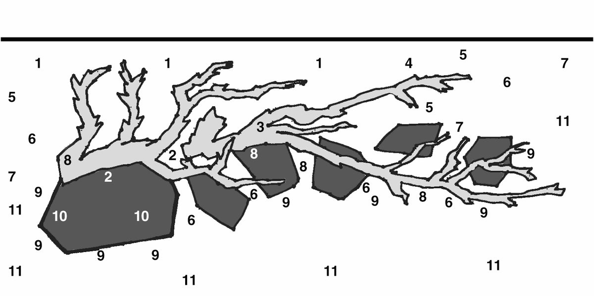 Layout 110 (250 L)