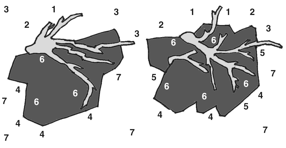 Layout 113 (75 L)