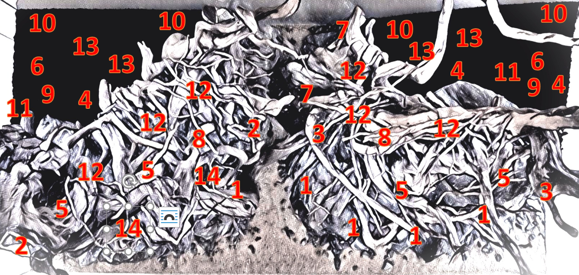 Layout 121 (180 L)