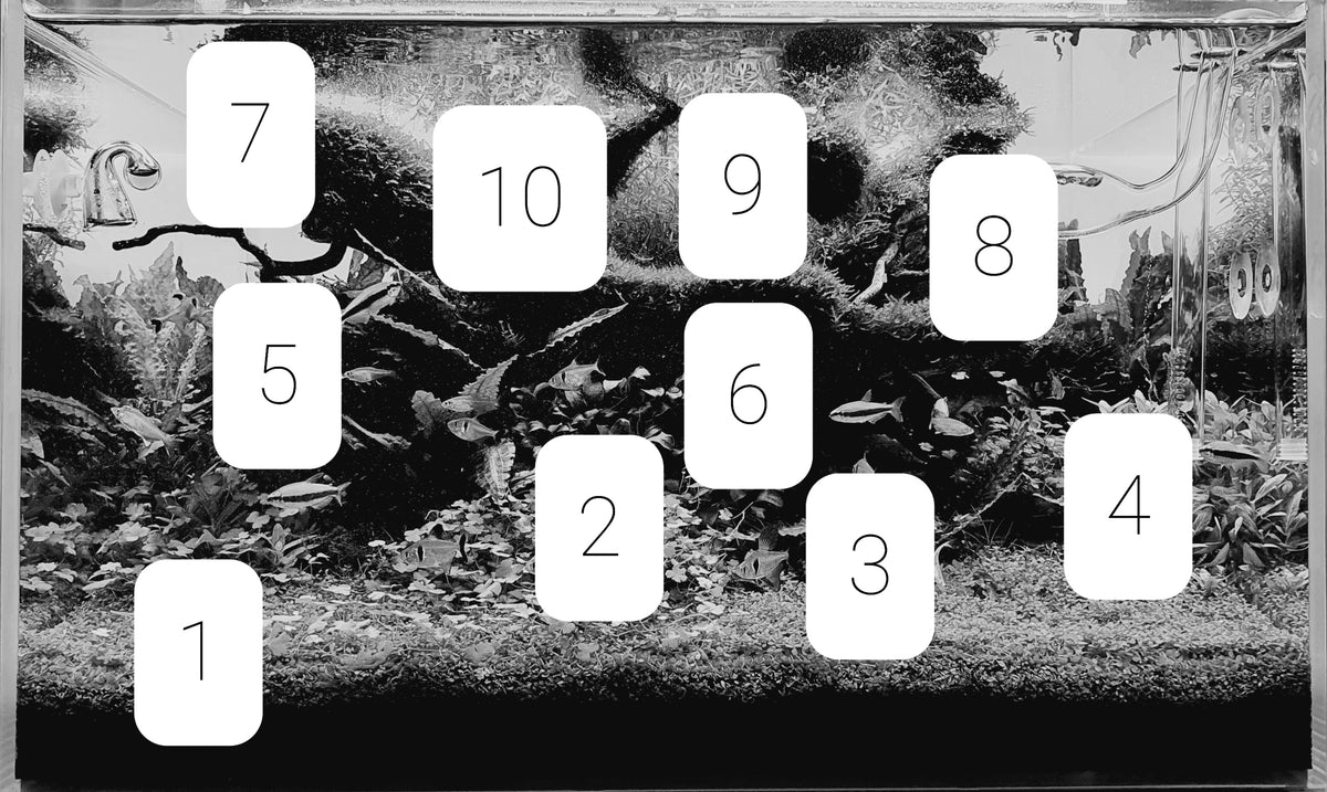 Layout 122 (110 L)