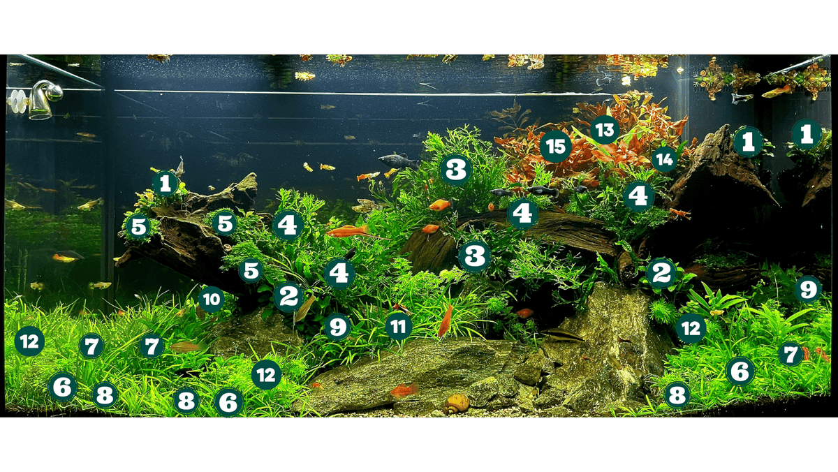 Layout 128 (350 L)