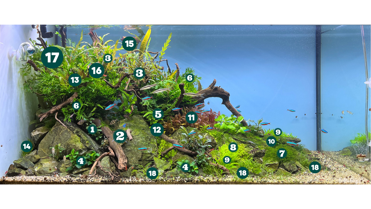 Layout 129 (272 L)