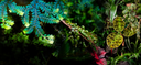 Terra by Tropica: Bring Nature Inside