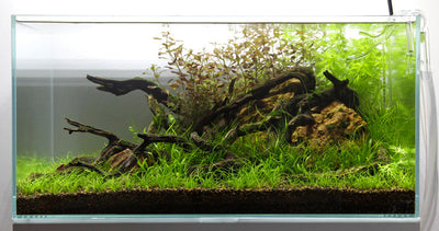 Layout 77 (80 L)