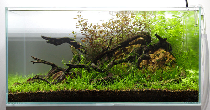 Layout 77 (80 L)