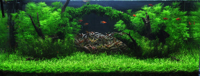 Layout 8 (225 L)