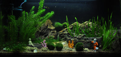 Layout 15 (112 L)