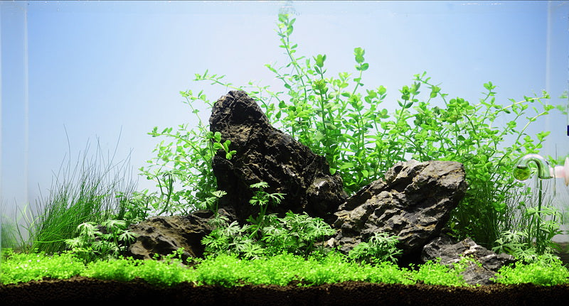 Layout 26 (60 L)