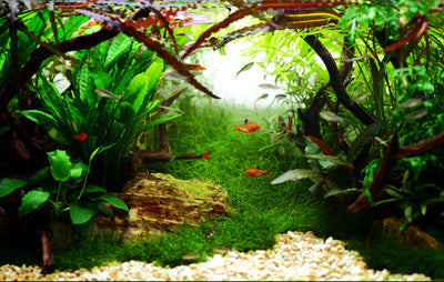 Layout 32 (360 L)