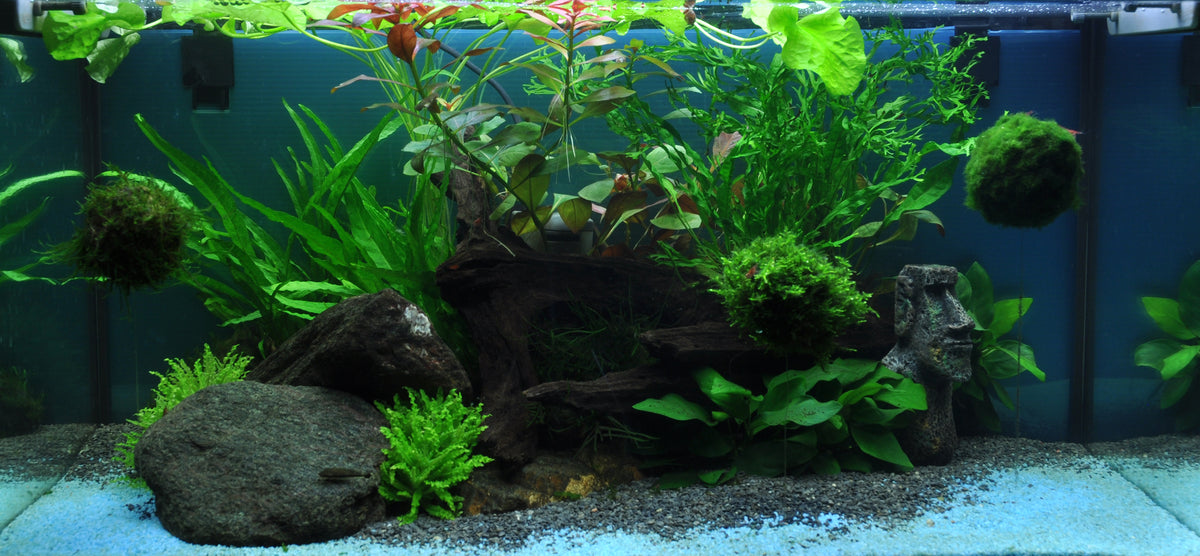 Layout 33 (54 L)