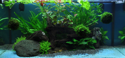 Layout 33 (54 L)