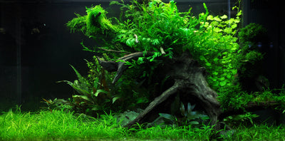 Layout 34 (140 L)