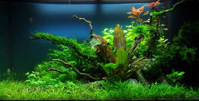 Layout 37 (140 L)