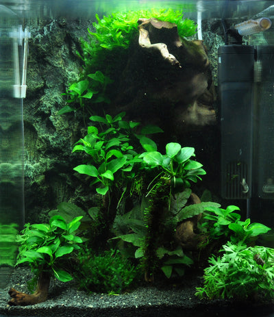 Layout 39 (30 L)