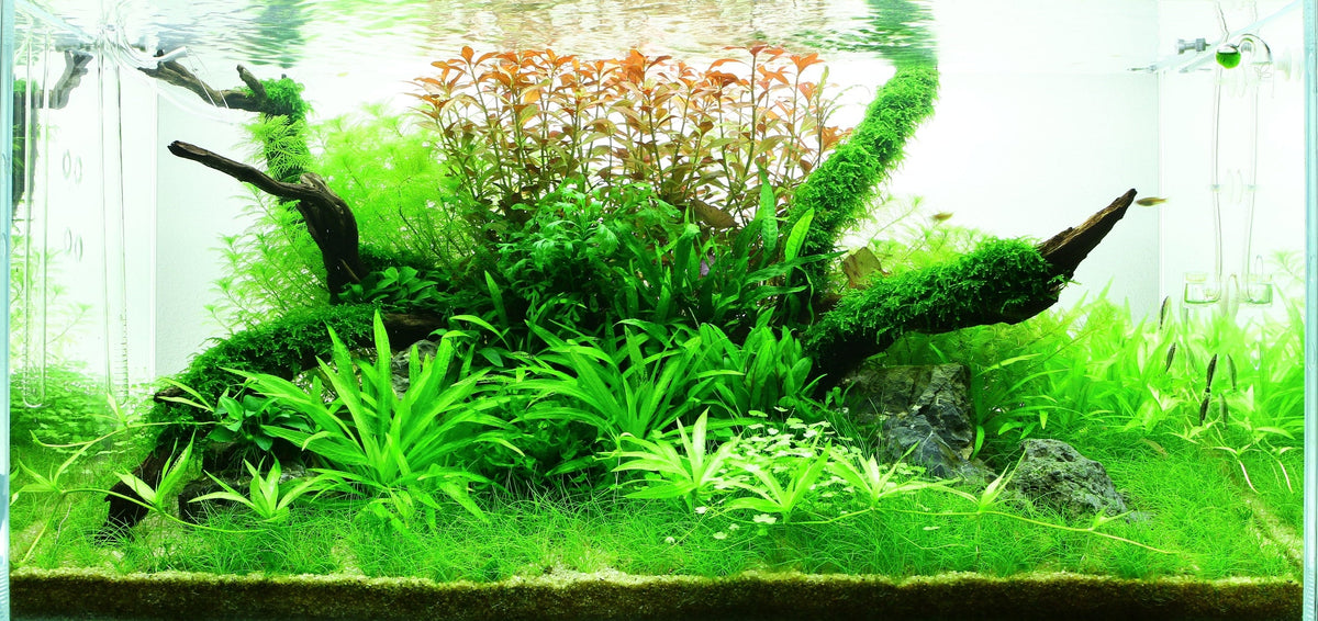 Layout 45 (180 L)