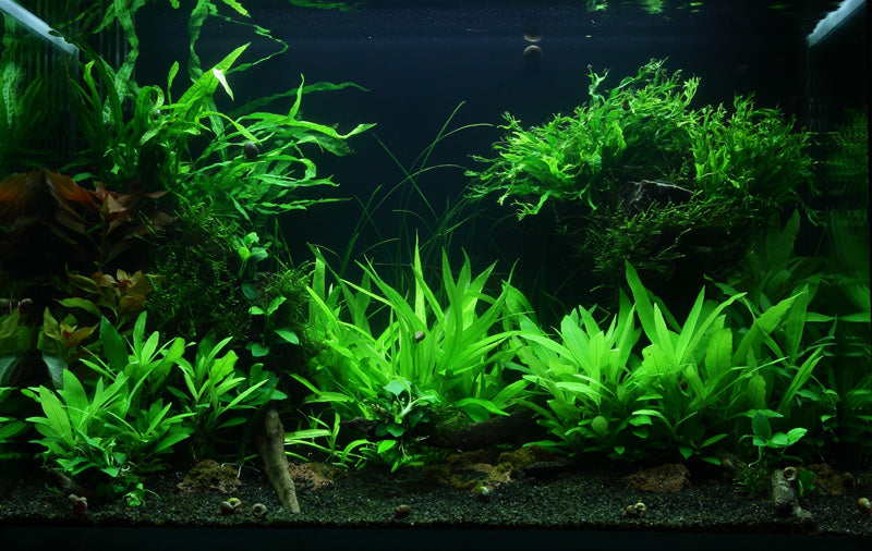 Layout 47 (100 L)