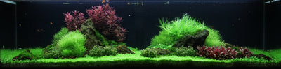 Layout 53 (225 L)