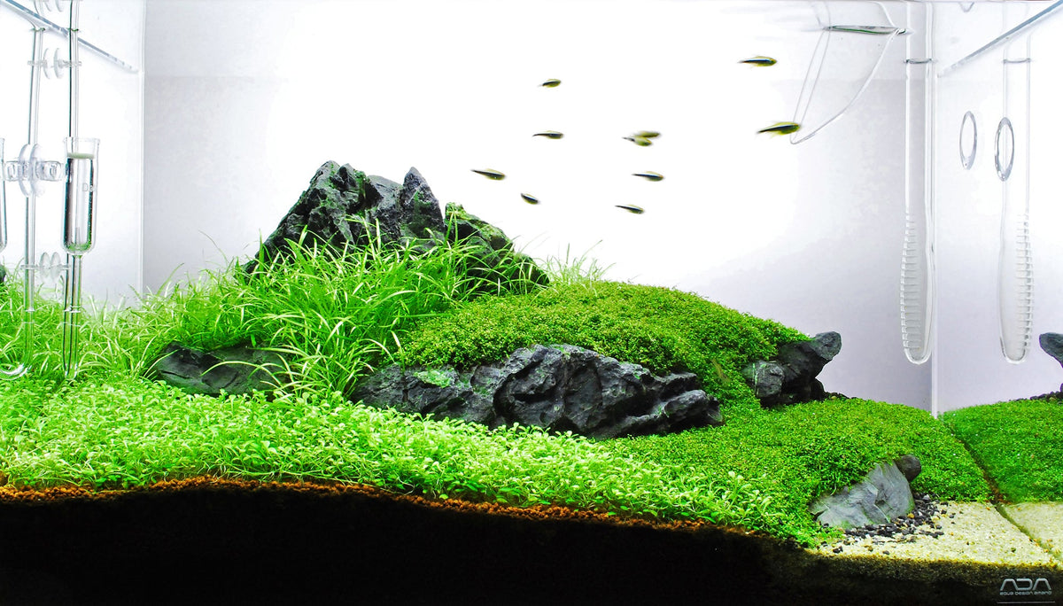 Layout 59 (60 L)
