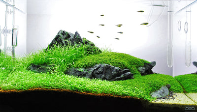 Layout 59 (60 L)