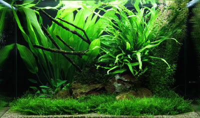 Layout 63 (100 L)