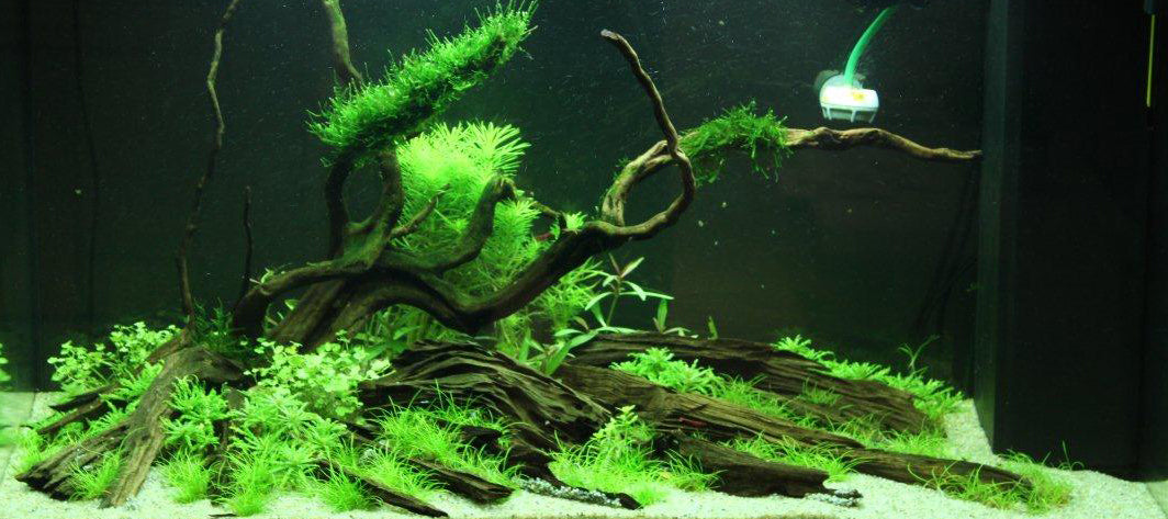 Layout 69 (125 L)