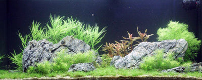 Layout 70 (180 L)