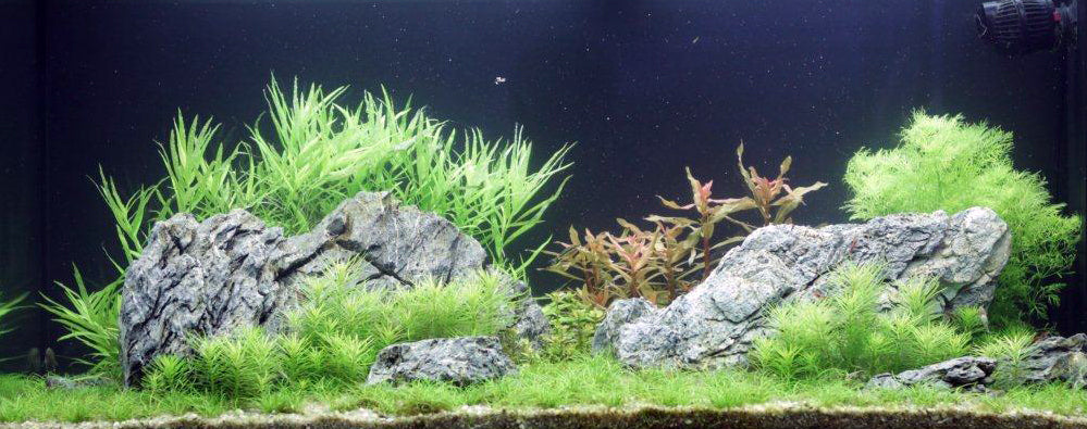 Layout 70 (180 L)